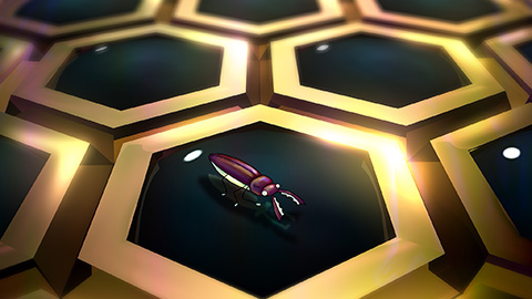 A small bug in a field of hexagonal pads